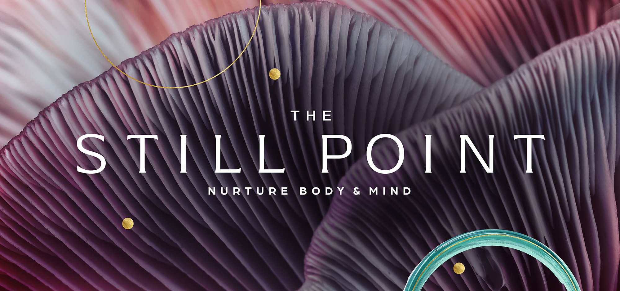 The Still Point