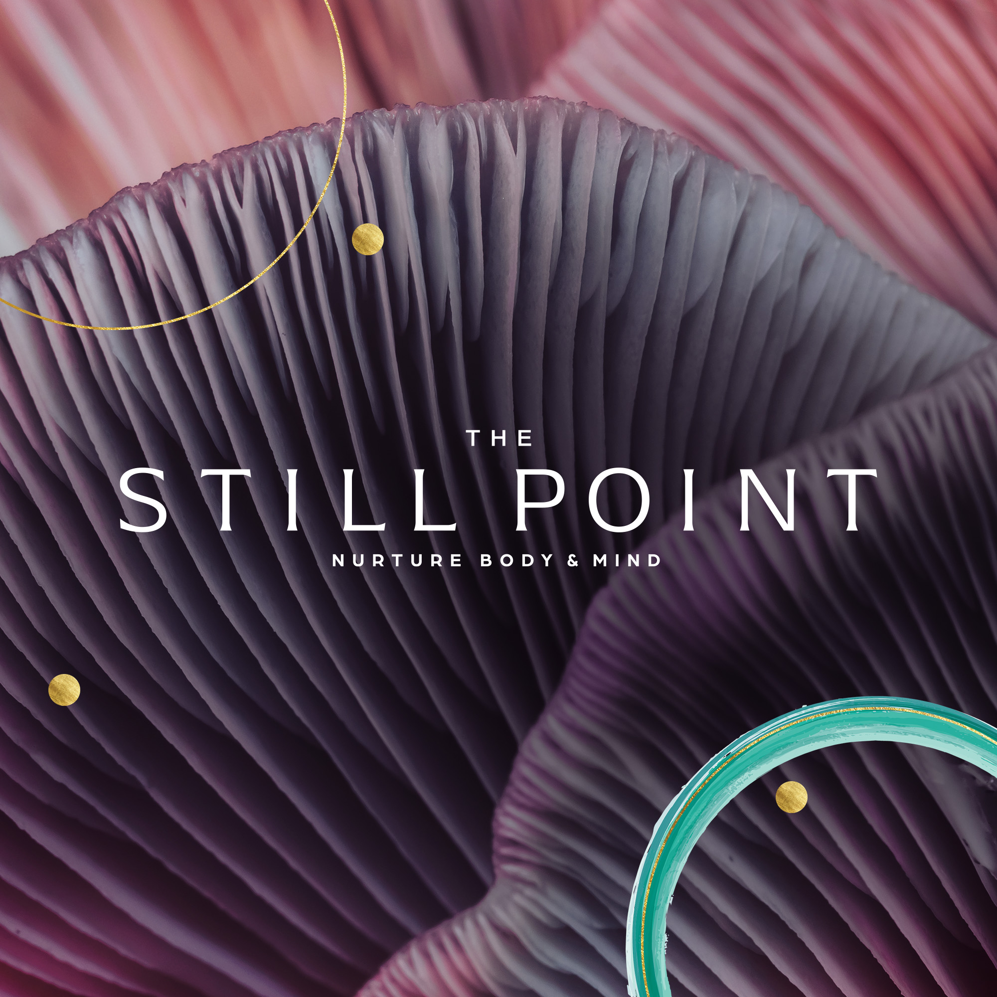 The Still Point