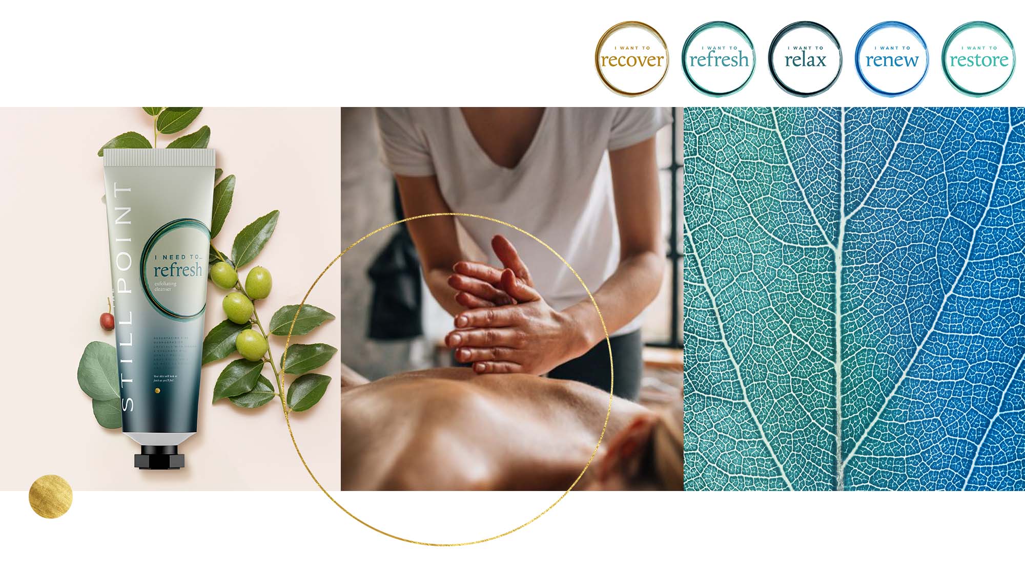 Brand World for Wellness
